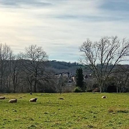 Le Petit Figuier Villa Villefranche-du-Périgord Buitenkant foto