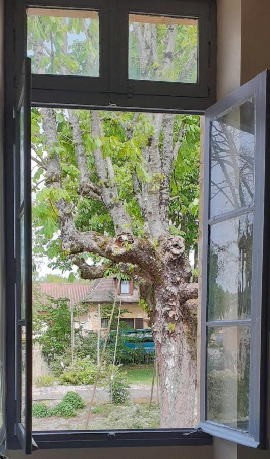 Le Petit Figuier Villa Villefranche-du-Périgord Buitenkant foto